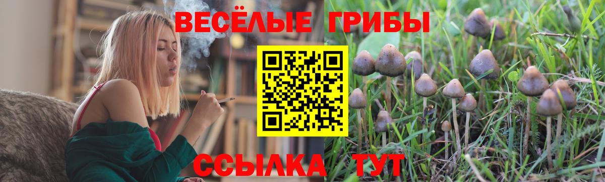 Тавда  купить наркоту  Вход с VPN  Псилоцибиновые грибы мухоморы  Псилоцибиновые грибы прущие грибы 